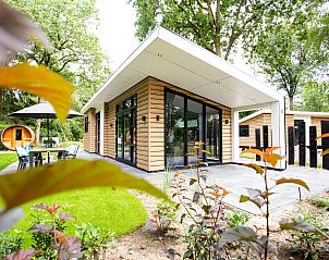 Unterkunft 3217104 - Ferienhaus Veluwe - Boslodge Silva