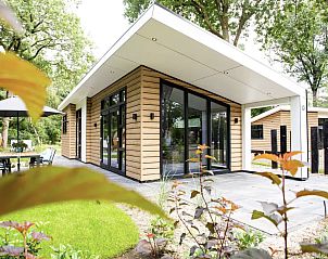 Guest house 321720 - Chalet Veluwe - Chalet in Garderen