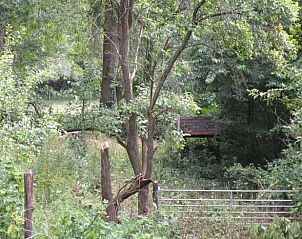 Unterkunft 321730 - Ferienhaus Veluwe - Vakantiehuis in Garderen