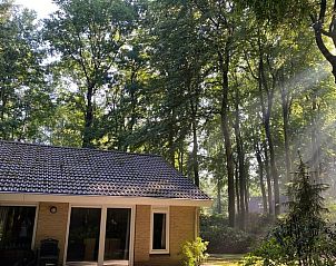 Vakantiehuisje in Garderen omgeven door bosrijk landschap, Veluwe.