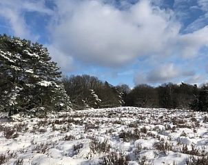 Sneeuwlandschap in de buurt van Vakantiehuisje in Garderen, Veluwe.