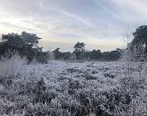 Frostige heidevelden bij Vakantiehuisje in Garderen, Veluwe, winter.