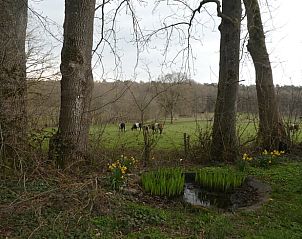 Unterkunft 321739 - Ferienhaus Veluwe - Vakantiehuisje in Garderen