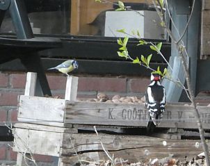 Unterkunft 321739 - Ferienhaus Veluwe - Vakantiehuisje in Garderen