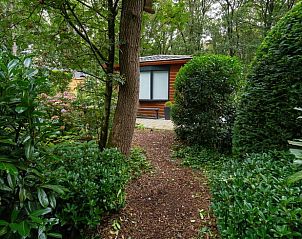 Unterkunft 321740 - Ferienhaus Veluwe - Huisje in Garderen