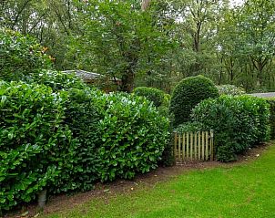 Unterkunft 321740 - Ferienhaus Veluwe - Huisje in Garderen