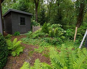 Unterkunft 321740 - Ferienhaus Veluwe - Huisje in Garderen