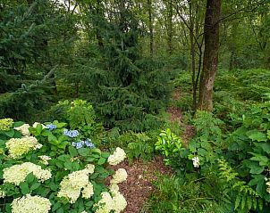 Unterkunft 321740 - Ferienhaus Veluwe - Huisje in Garderen