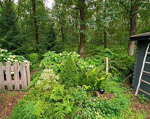 Unterkunft 321740 - Ferienhaus Veluwe - Huisje in Garderen