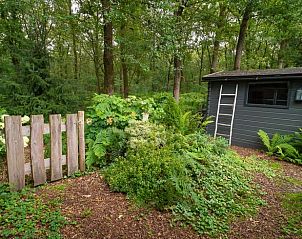 Unterkunft 321740 - Ferienhaus Veluwe - Huisje in Garderen
