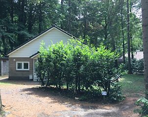 Unterkunft 321750 - Ferienhaus Veluwe - Huisje in Garderen