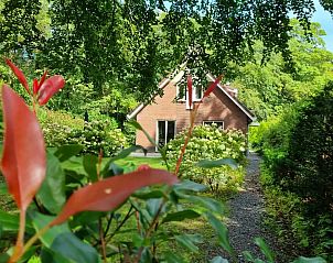 Unterkunft 321755 - Bungalow Veluwe - Bosbungalow Garderen