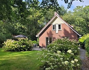 Unterkunft 321755 - Bungalow Veluwe - Bosbungalow Garderen