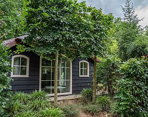 Guest house 321756 - Holiday property Veluwe - Heivlinder Comfort 4+2p