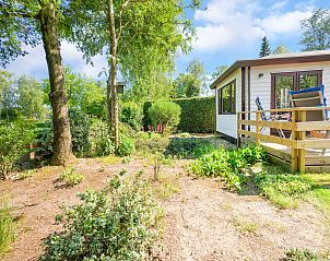 Guest house 321759 - Holiday property Veluwe - De Veluwse Kip