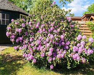 Guest house 321759 - Holiday property Veluwe - De Veluwse Kip