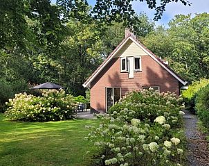 Gezellige tuin bij Huisje in Garderen, vakantieverblijf op de Veluwe, Gelderland.