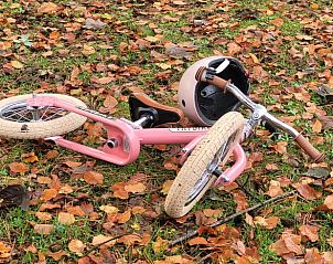 Kinderfietsje in de tuin van Huisje in Garderen, Veluwse vakantie, Gelderland.