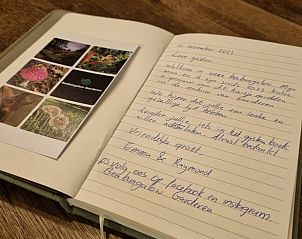 Hond in het bos bij Huisje in Garderen, vakantiehuis op de Veluwe, Gelderland.