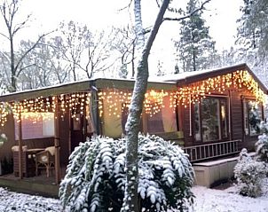 Unterkunft 321766 - Ferienhaus Veluwe - Vakantiehuisje in Garderen
