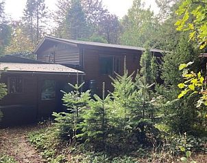 Unterkunft 321766 - Ferienhaus Veluwe - Vakantiehuisje in Garderen