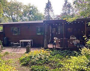 Unterkunft 321766 - Ferienhaus Veluwe - Vakantiehuisje in Garderen