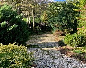 Unterkunft 321766 - Ferienhaus Veluwe - Vakantiehuisje in Garderen