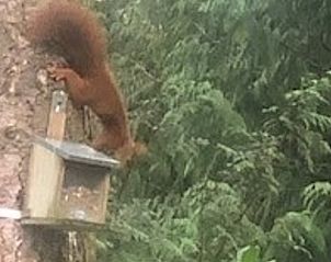 Unterkunft 321766 - Ferienhaus Veluwe - Vakantiehuisje in Garderen