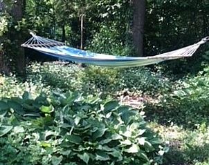 Unterkunft 321766 - Ferienhaus Veluwe - Vakantiehuisje in Garderen