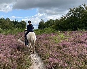 Horseback riding through the moors near Holiday home in Garderen, Veluwe.