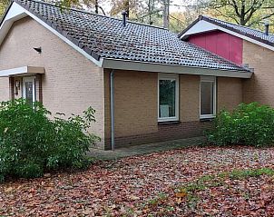 Achterzijde van Vakantiehuis in Garderen omgeven door herfstbladeren, Veluwe.