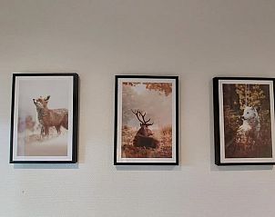 Wanddecoratie met dieren in Vakantiehuis in Garderen, Veluwe, Gelderland.