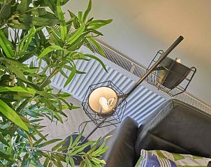 Moderne vloerlamp in De Veluwse houtduif, Garderen, Veluwe naast groene planten.