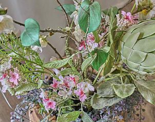 Guest house 321783 - Chalet Veluwe - Torenvalk