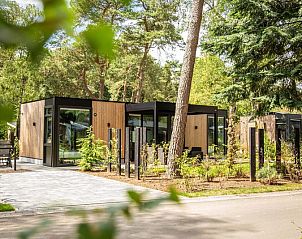 Unterkunft 321793 - Ferienhaus Veluwe - Veluwe hoeve 2+3 personen Wellness (Hottub)