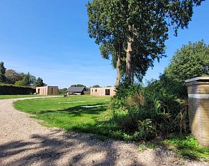 Unterkunft 321812 - Ferienhaus Veluwe - Vakantiehuisje in Elspeet