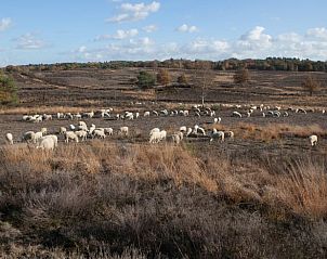 Unterkunft 321813 - Ferienhaus Veluwe - Vakantiehuisje in Elspeet