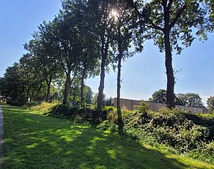 Unterkunft 321813 - Ferienhaus Veluwe - Vakantiehuisje in Elspeet
