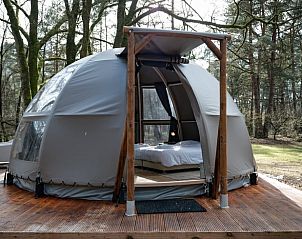 Unterkunft 321814 • Ferienhaus Veluwe • Vakantiehuisje in Elspeet 