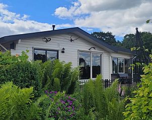 Unterkunft 321815 - Ferienhaus Veluwe - Huisje in Elspeet