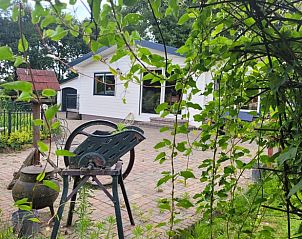 Unterkunft 321815 - Ferienhaus Veluwe - Huisje in Elspeet