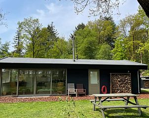 Unterkunft 321820 - Ferienhaus Veluwe - Huisje in Elspeet