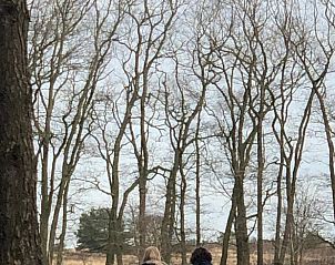 Unterkunft 321820 - Ferienhaus Veluwe - Huisje in Elspeet