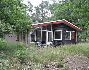 Guest house 321821 • Holiday property Veluwe • Vakantiehuis in Elspeet 