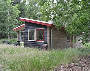 Rustieke vakantiewoning in Elspeet, Veluwe, met natuurlijke omgeving en buitenruimte.