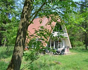 Unterkunft 321827 - Ferienhaus Veluwe - Huisje in Elspeet
