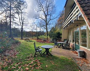 Unterkunft 321827 - Ferienhaus Veluwe - Huisje in Elspeet