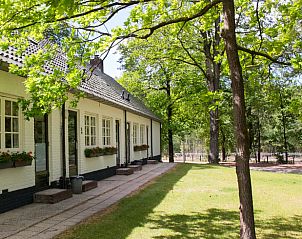 Guest house 321831 - Holiday property Veluwe - Huisje in Elspeet