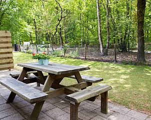 Gezellige woonkamer in Huisje in Elspeet, Veluwe, Gelderland met comfortabele banken en uitzicht op de groene natuur.