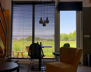 Uitzicht op natuur vanuit Vakantiehuis in Elburg, 't Harde, Veluwe, Gelderland.